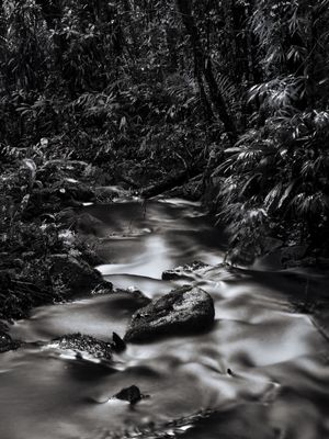 CREEK II