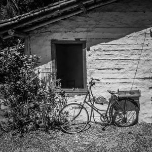 A BICICLETA E JANELA