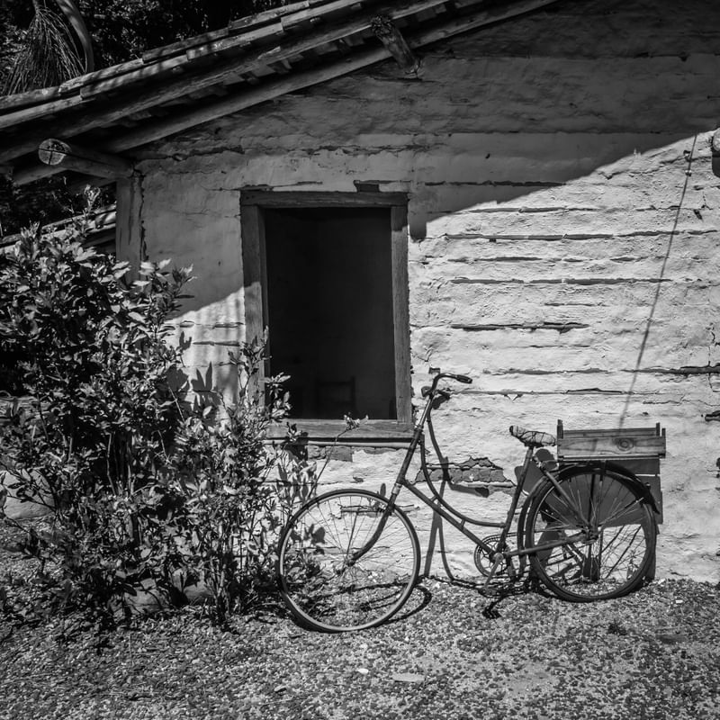 A BICICLETA E JANELA