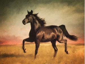 CAVALO FINAL DE TARDE