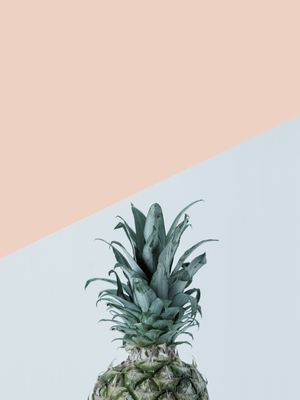 ABACAXI AZUL E ROSA I