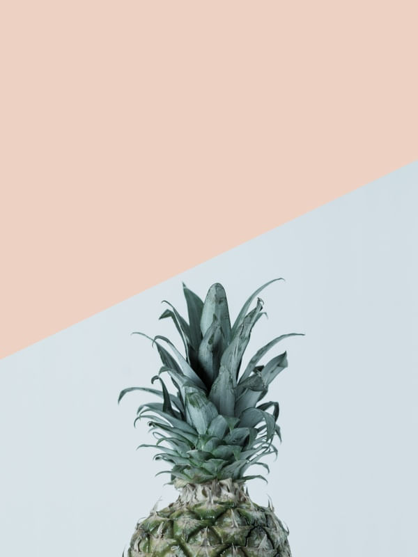ABACAXI AZUL E ROSA I