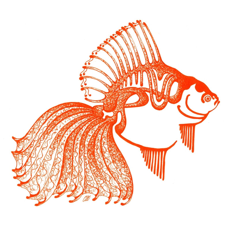 PEIXE - GLEN BATOCA