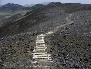 CAMINHOS NA TERRA