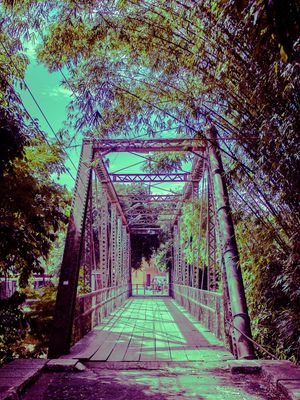 PURPLE BRIDGE