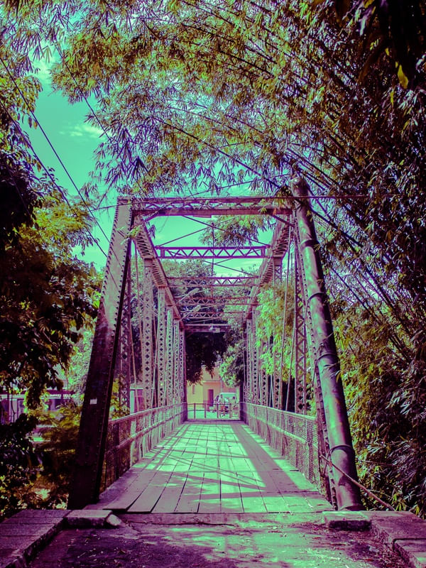 PURPLE BRIDGE