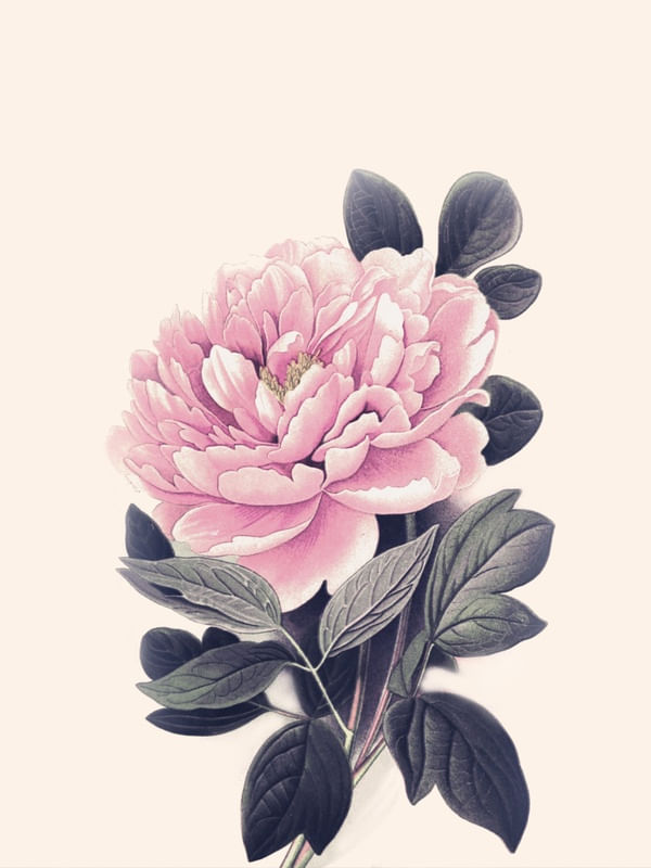 FLOWER NEAR ME