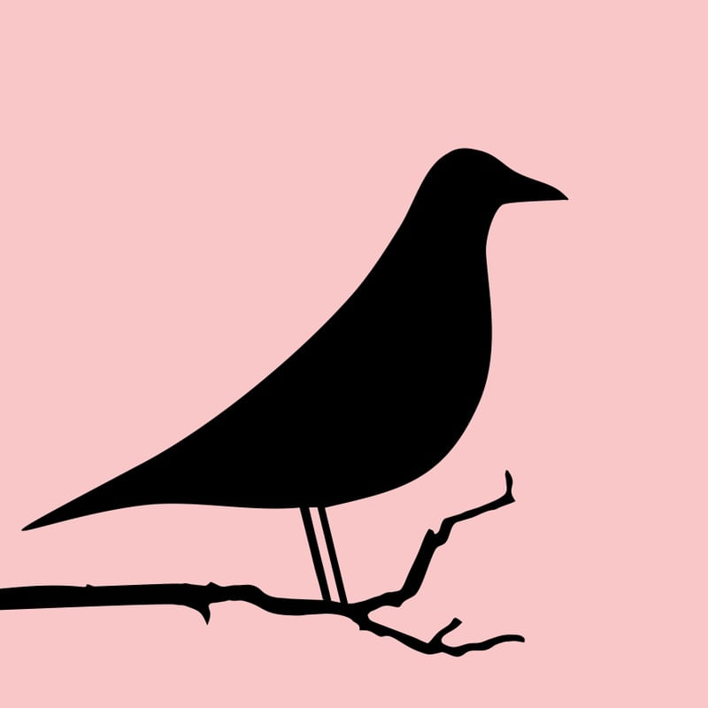 PÁSSARO - PRETO E ROSÊ