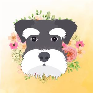 SCHNAUZER DO AMOR
