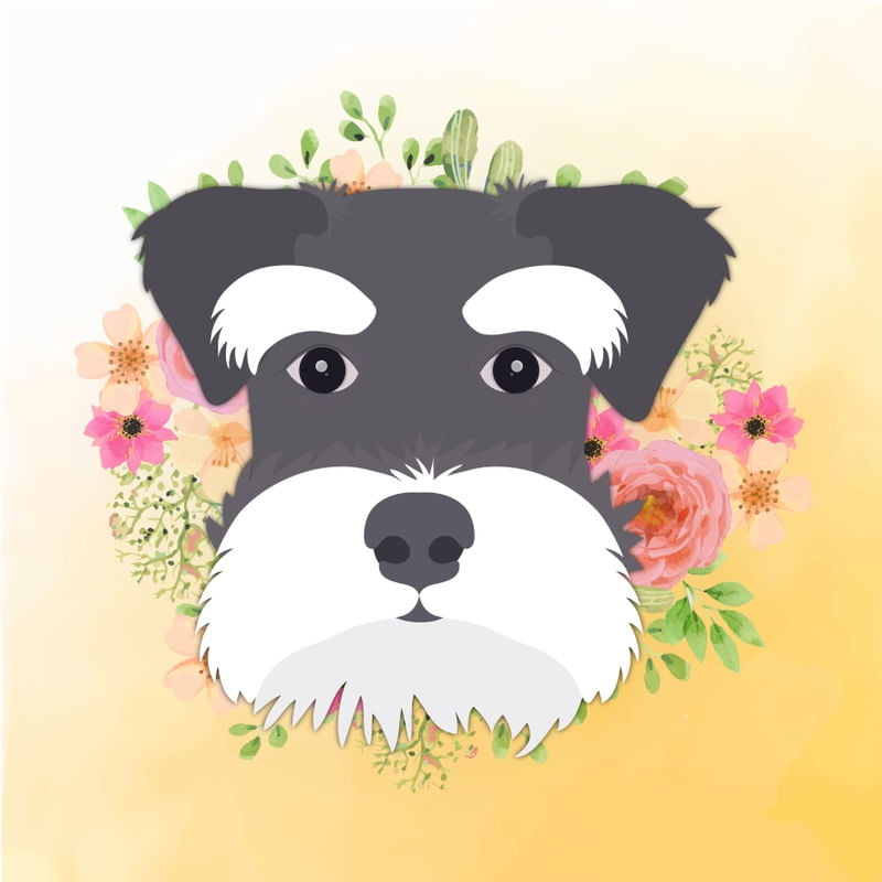 SCHNAUZER DO AMOR