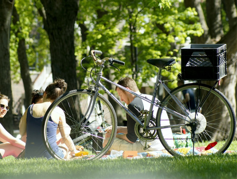 PICNIC DE BIKE