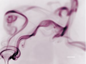 GRAPE FOG