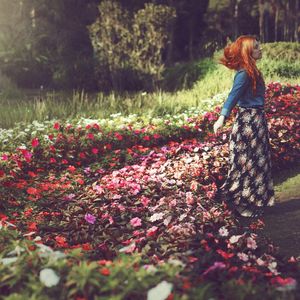 EFFLORESCENCE
