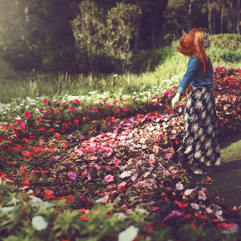 EFFLORESCENCE