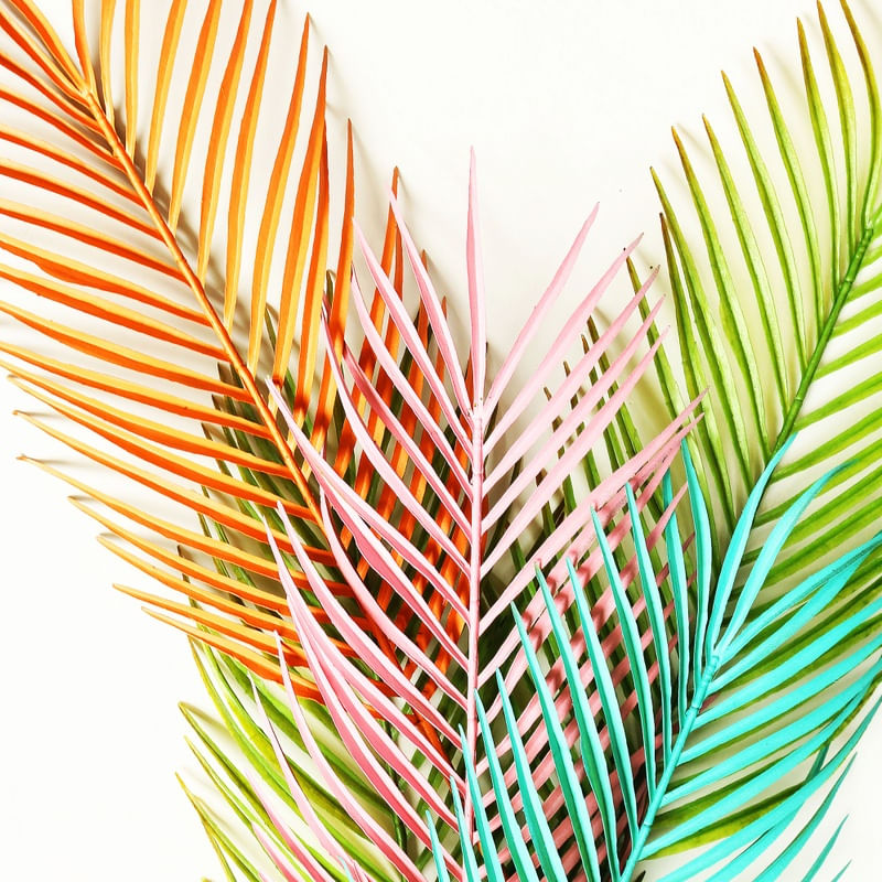 FOLHAS COLORIDAS TT