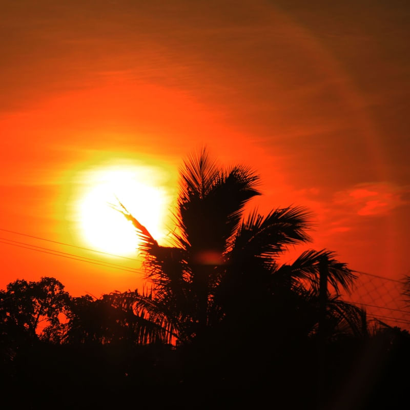 SOL TT