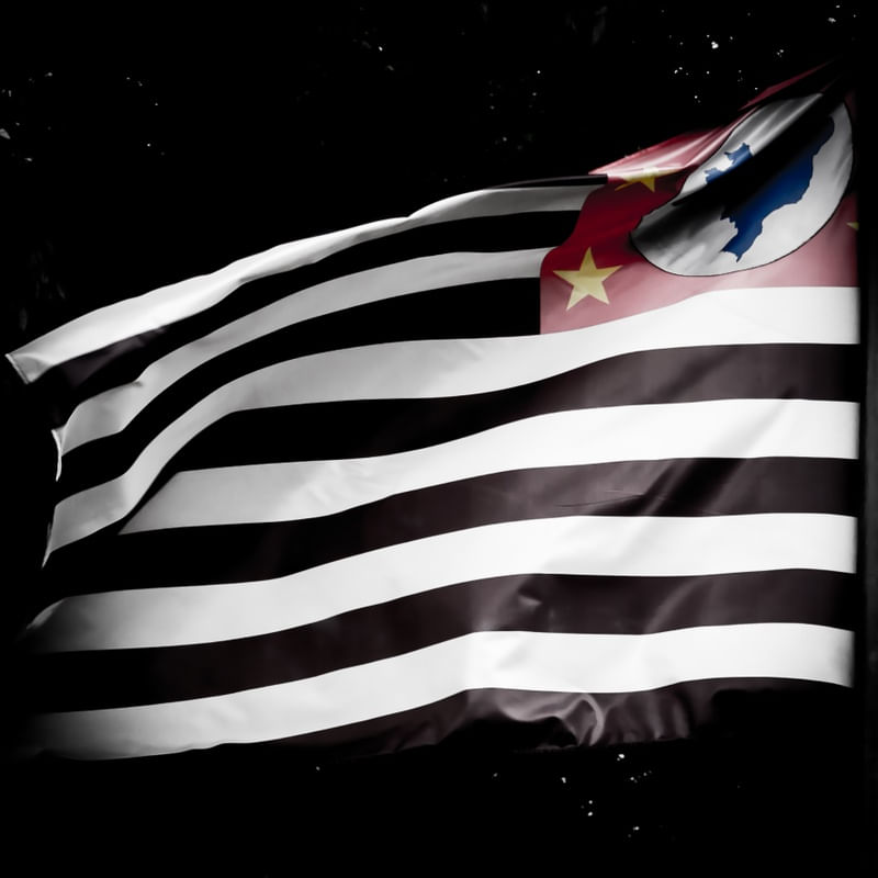 THE FLAG