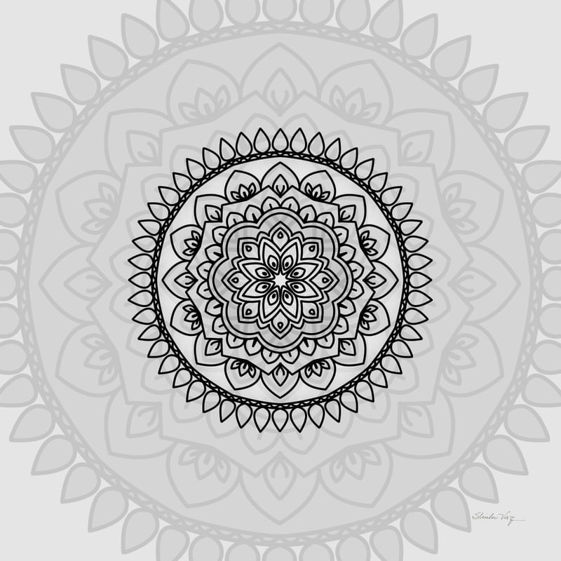 MANDALA LUZ DA VIDA 2