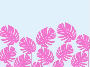 CONJUNTO TROPICAL VII
