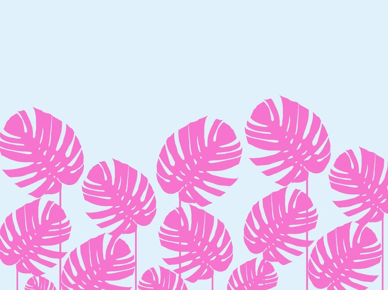 CONJUNTO TROPICAL VII
