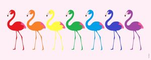 7 FLAMINGOS OF THE RAINBOW