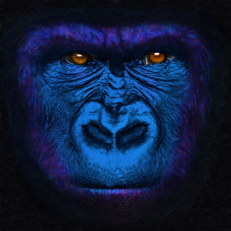 KINGBLUE