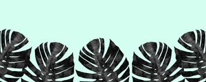 CONJUNTO TROPICAL VIII