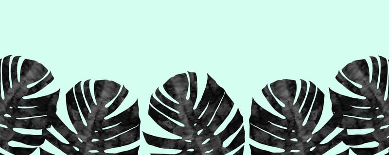 CONJUNTO TROPICAL VIII