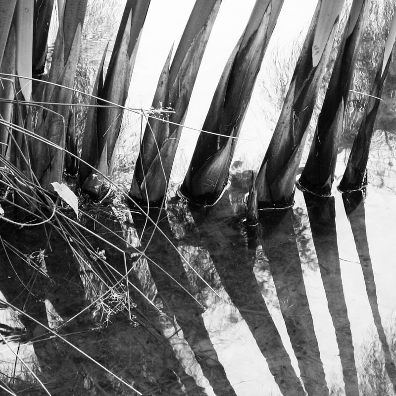 REFLEX LA 47.5X47.5PB 041