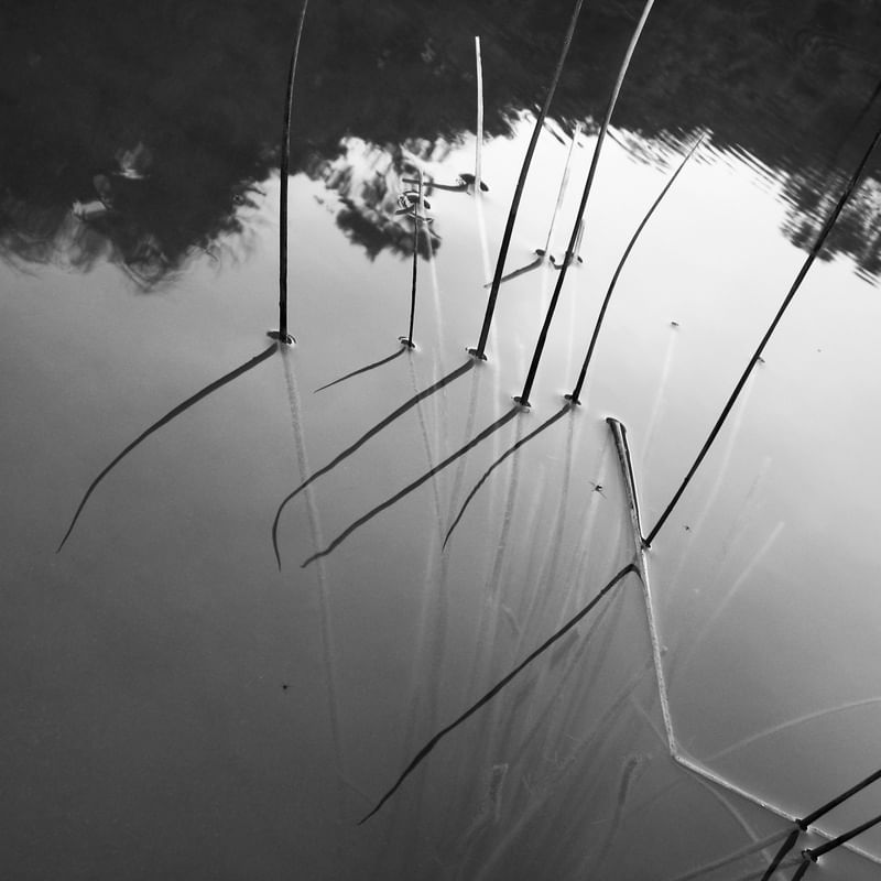 REFLEX LA 47.5X47.5PB 044