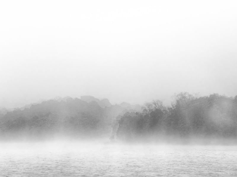 NEBLINA E MISTÉRIO