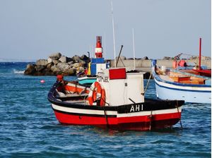 BARCO CABO DAS AGULHAS