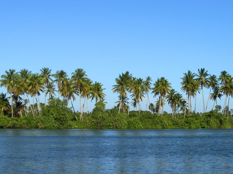 LAGUNA 2