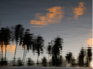 REFLEXO 56