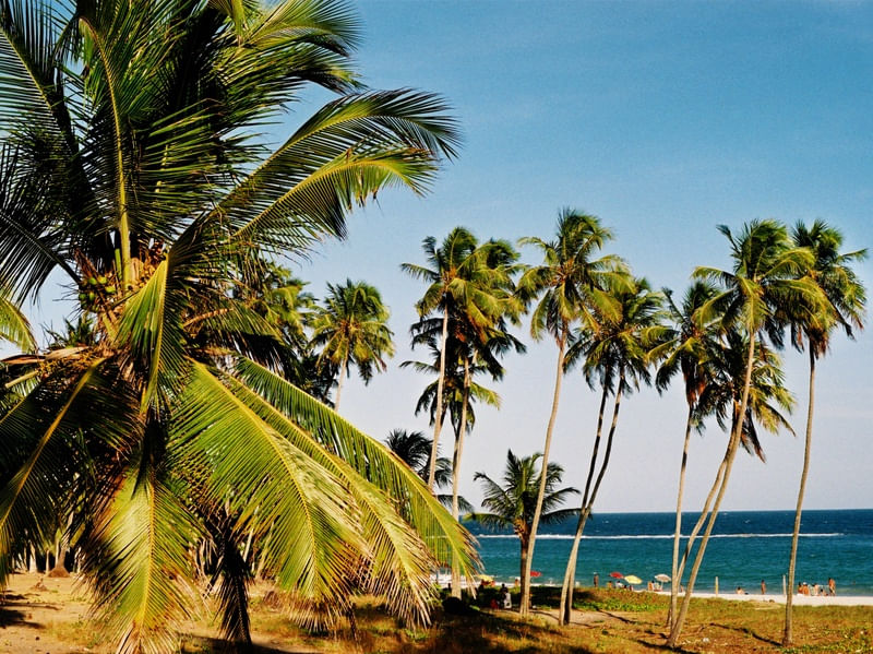 PRAIA DO FRANCÊS 42