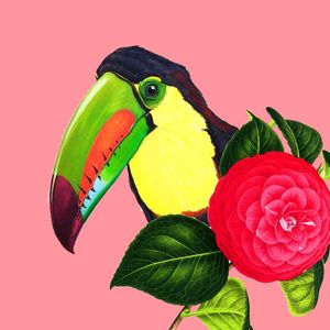 TUCANO FLOR