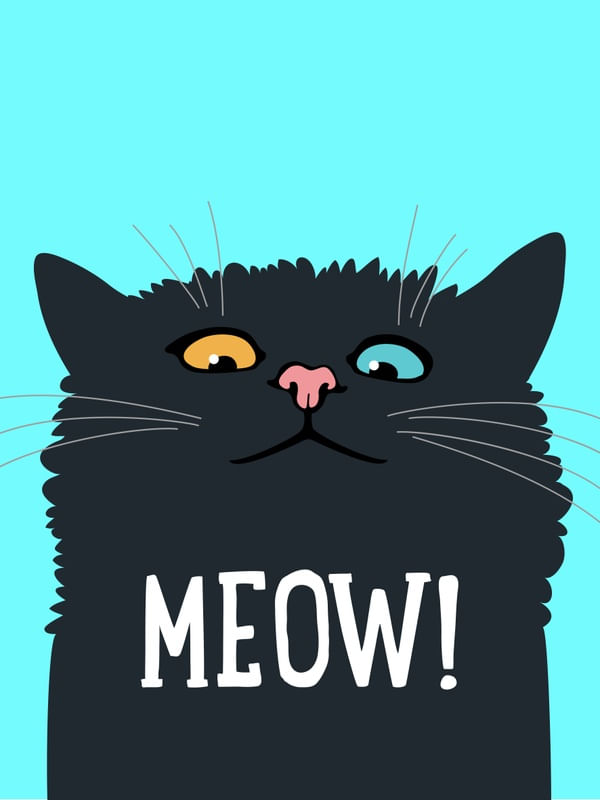 GATO SIMPATICO
