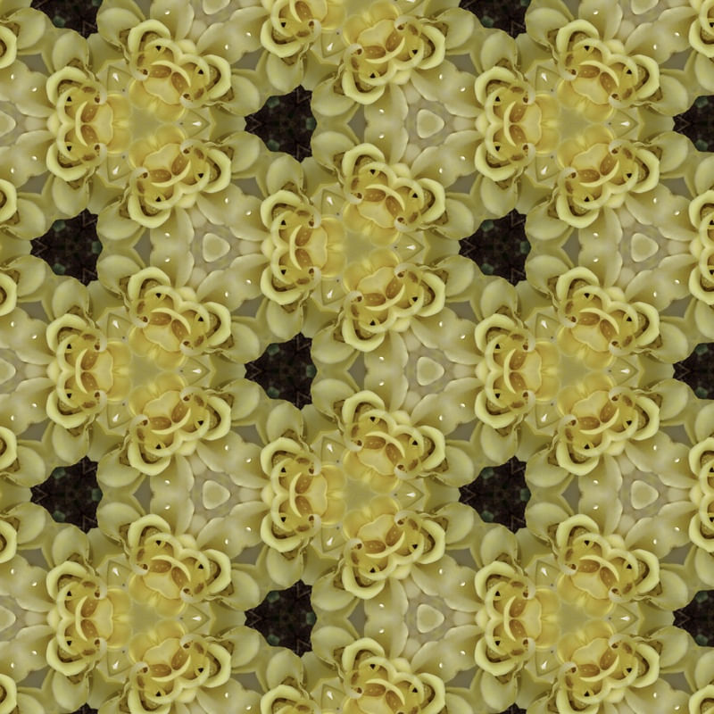 FLOR CALEIDOSCÓPICA