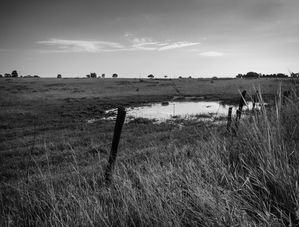 PAISAGEM RURAL