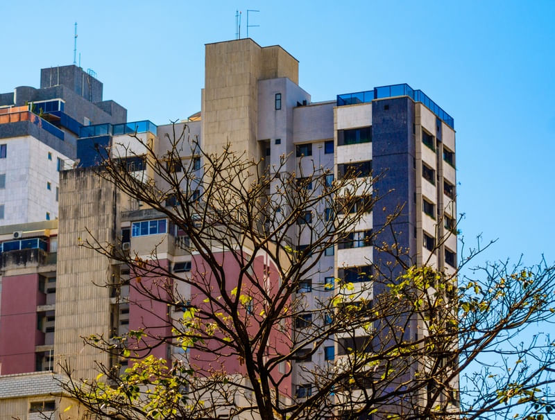 ÁRVORE, PRÉDIO E CÉU