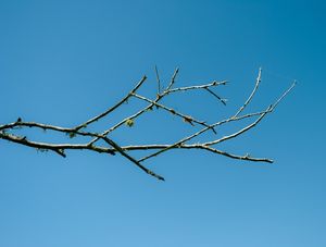 UM DIA NO CAMPO III