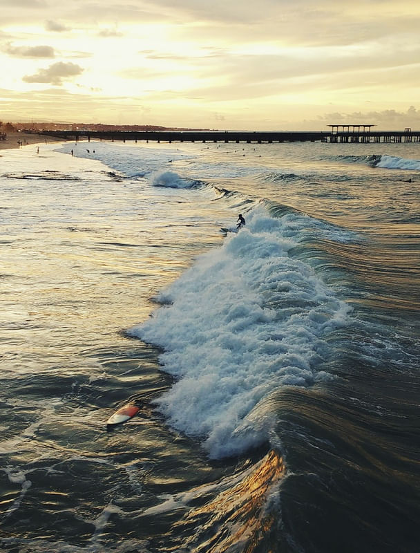 TROPICAL SEA