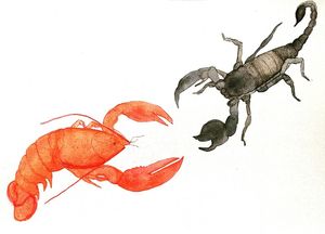 IMPOSSIBLEFIGHT