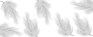 FOLHAS FINAS II