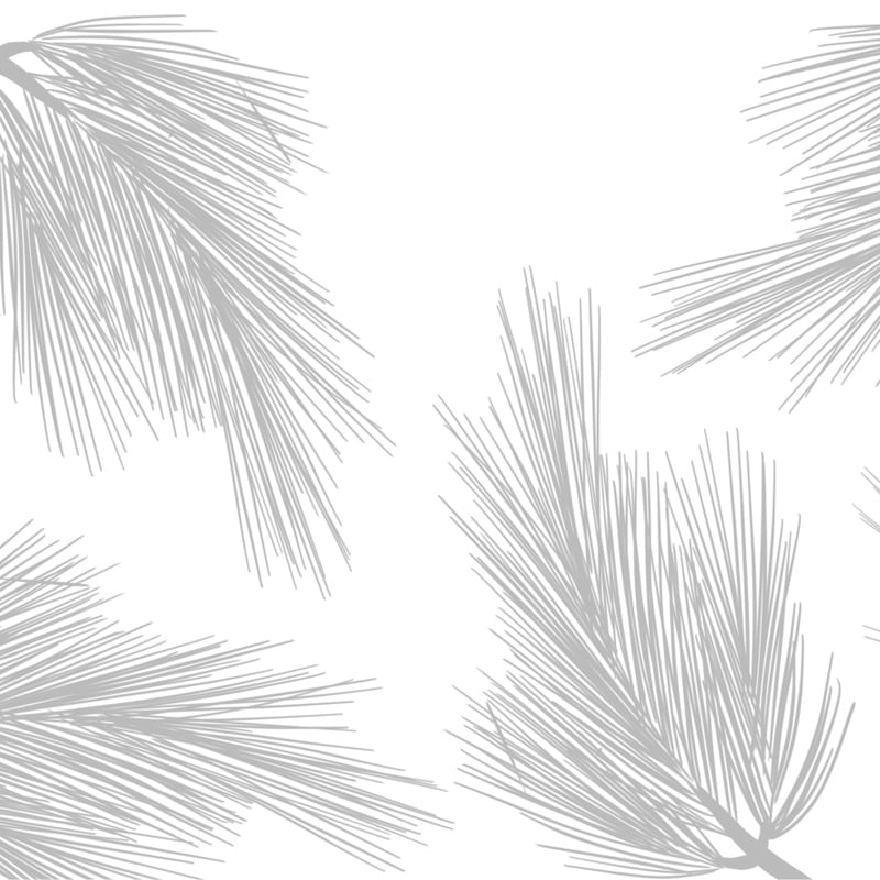 FOLHAS FINAS IV