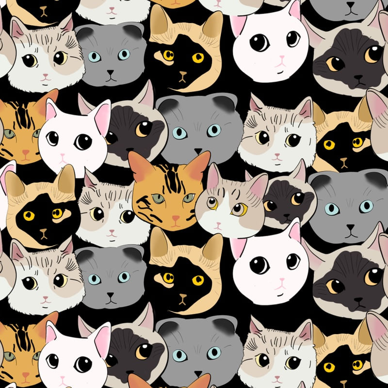 CATS CATS IV