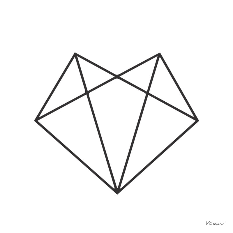 VIXEN 30X30.JPG