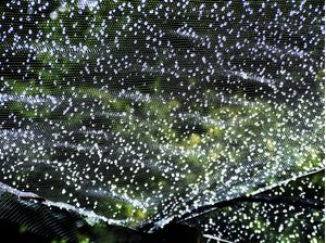 CHUVA NA TENDA 4