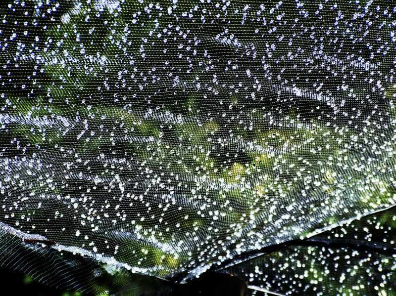 CHUVA NA TENDA 4
