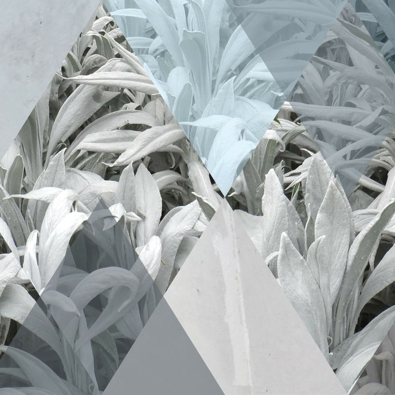 FROZEN LEAVES QUADRADO